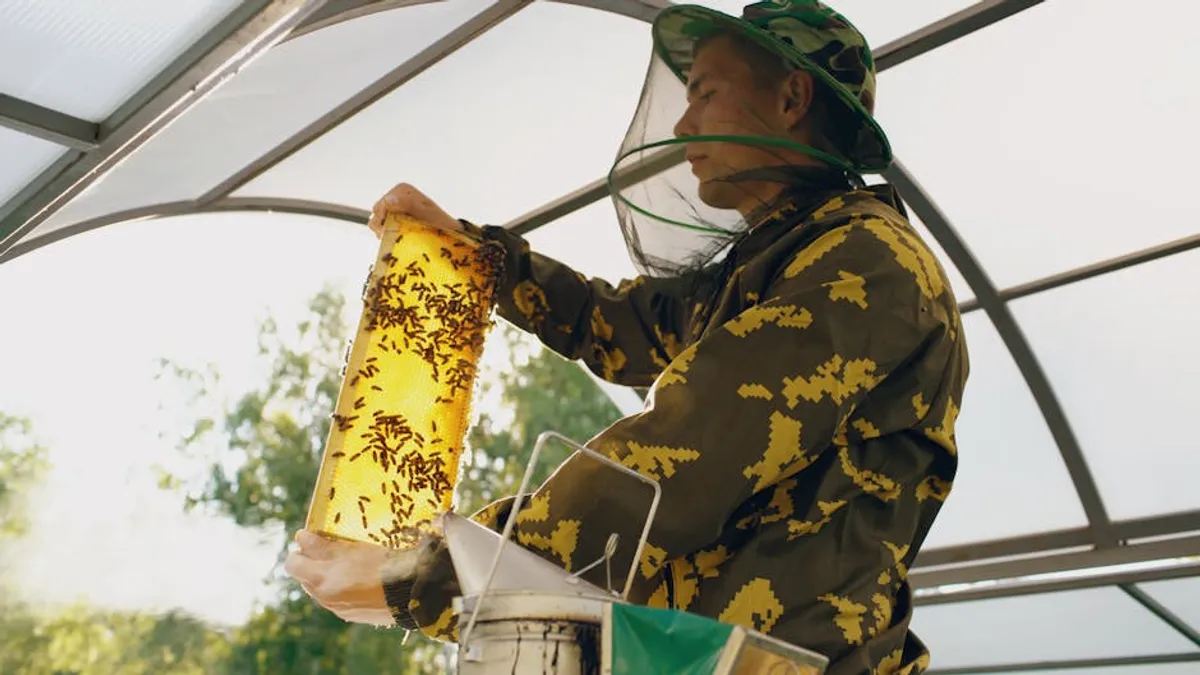 How to Maintain Honey Highlights